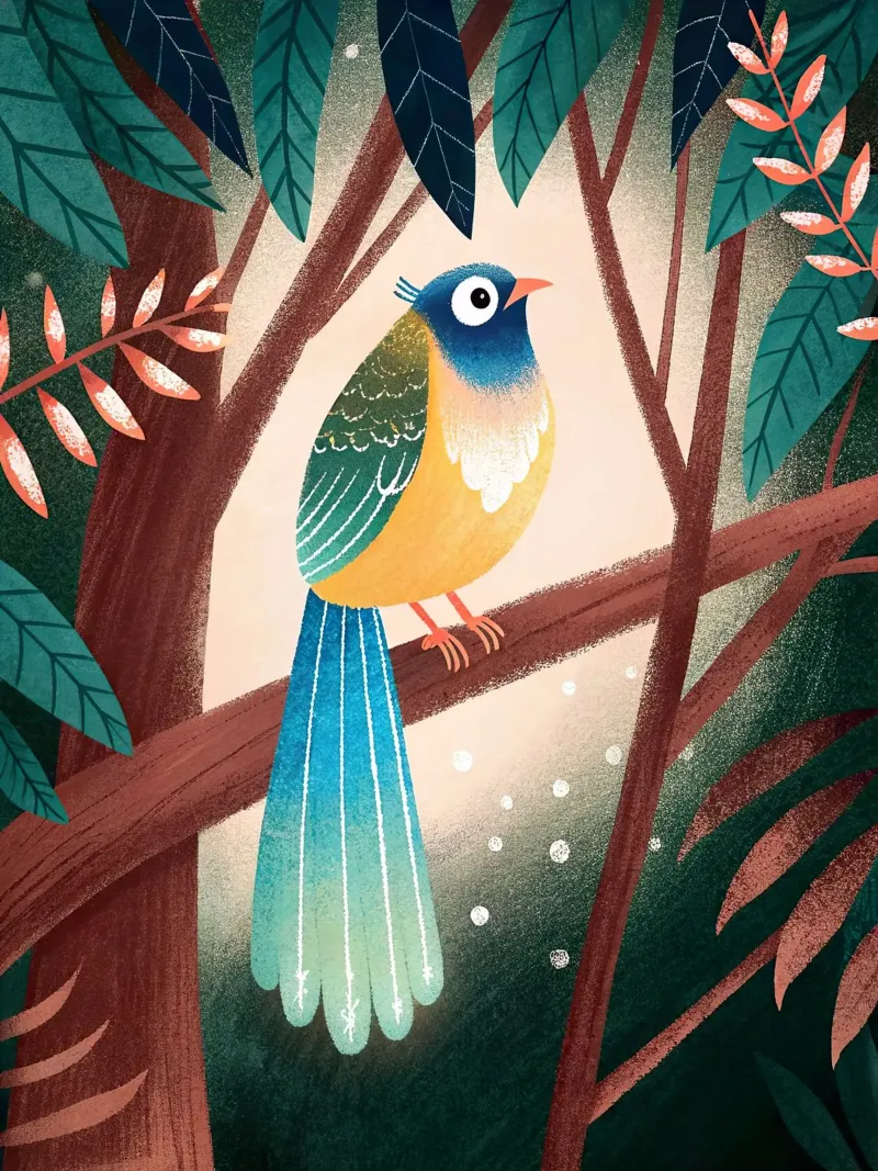 L'uccello del paradiso pellicola backlit da BABY ART PRINTS