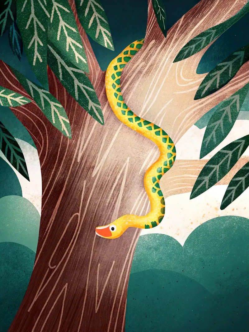 Il serpente pellicola backlit da 🐹 BABY ART PRINTS