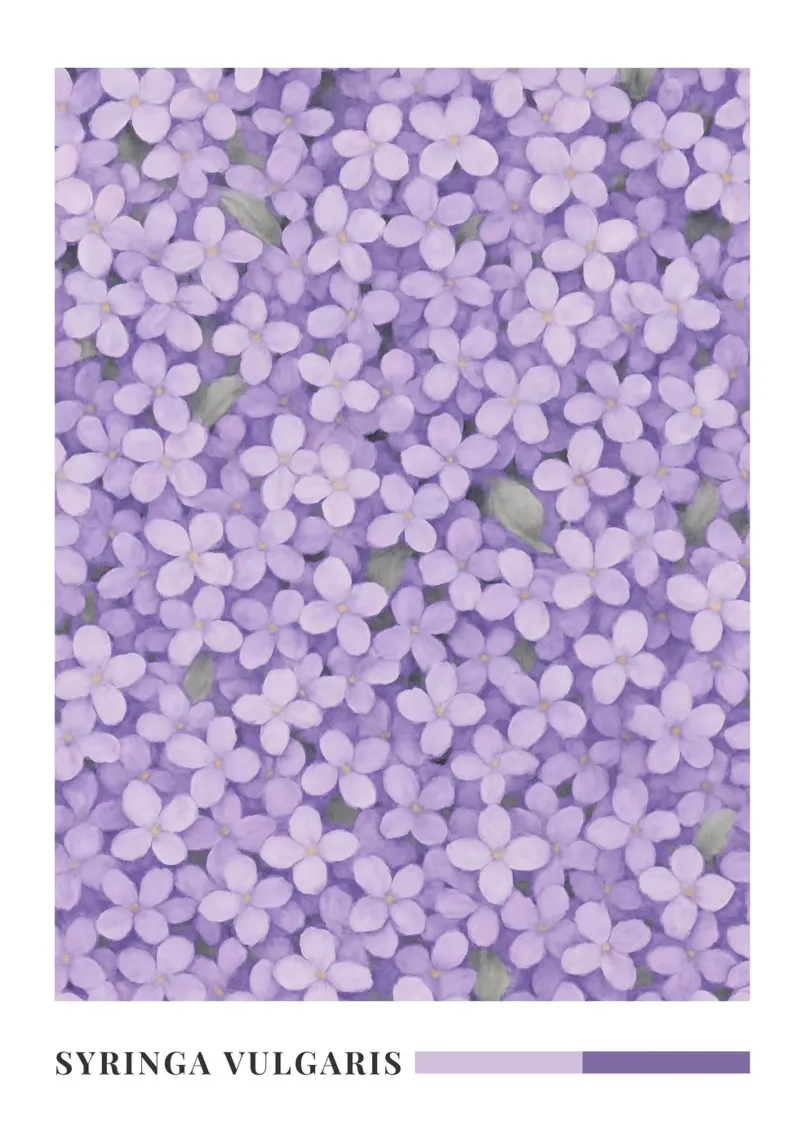 Lilac Floral Botanical Art tela con Cornice a cassetta da Mosaic Dialogue