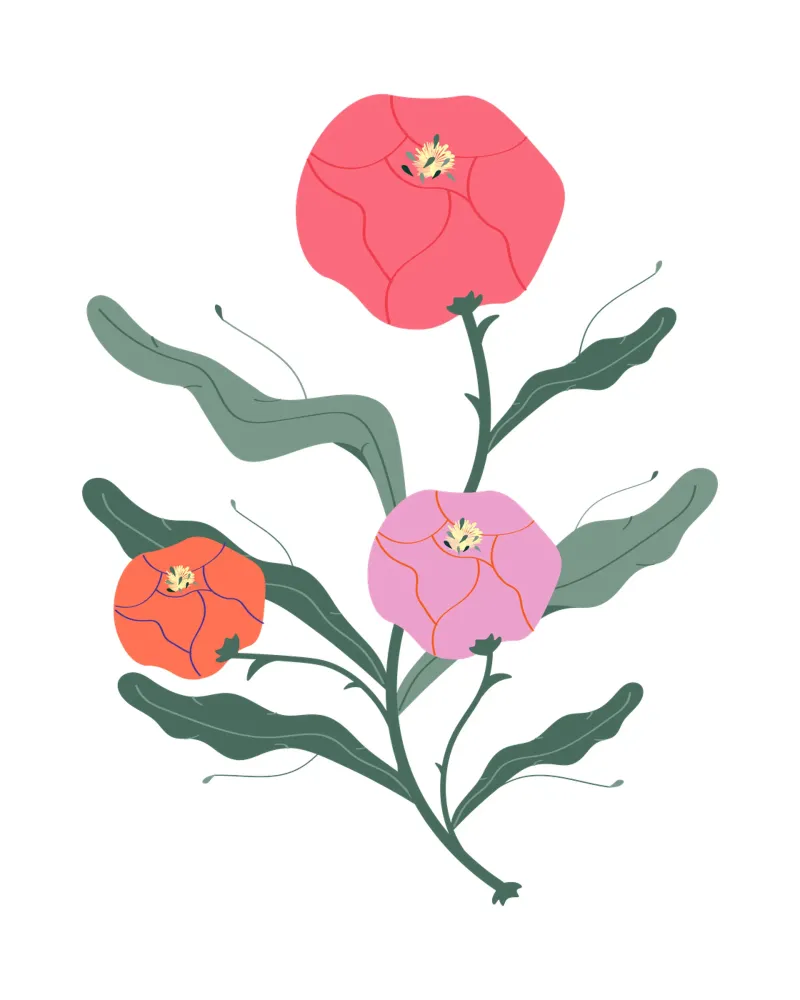 Peonie pellicola backlit da Silvie Illustration