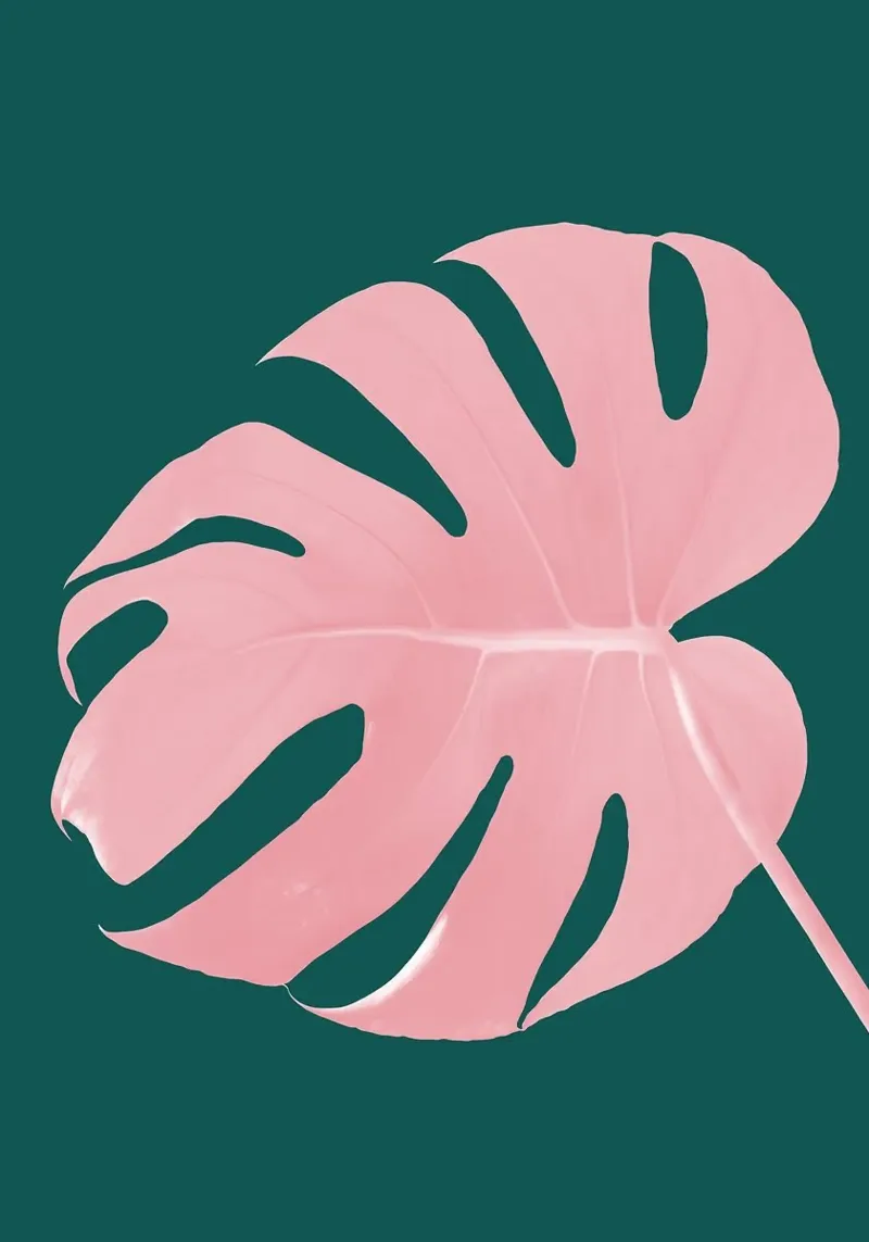 monstera alluminio dibond da Abstract Botanical Art