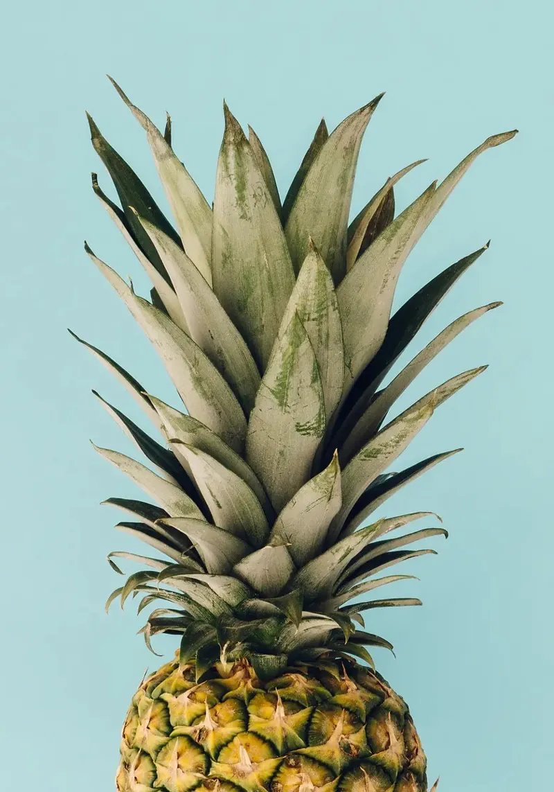 ananas pellicola backlit da Abstract Botanical Art