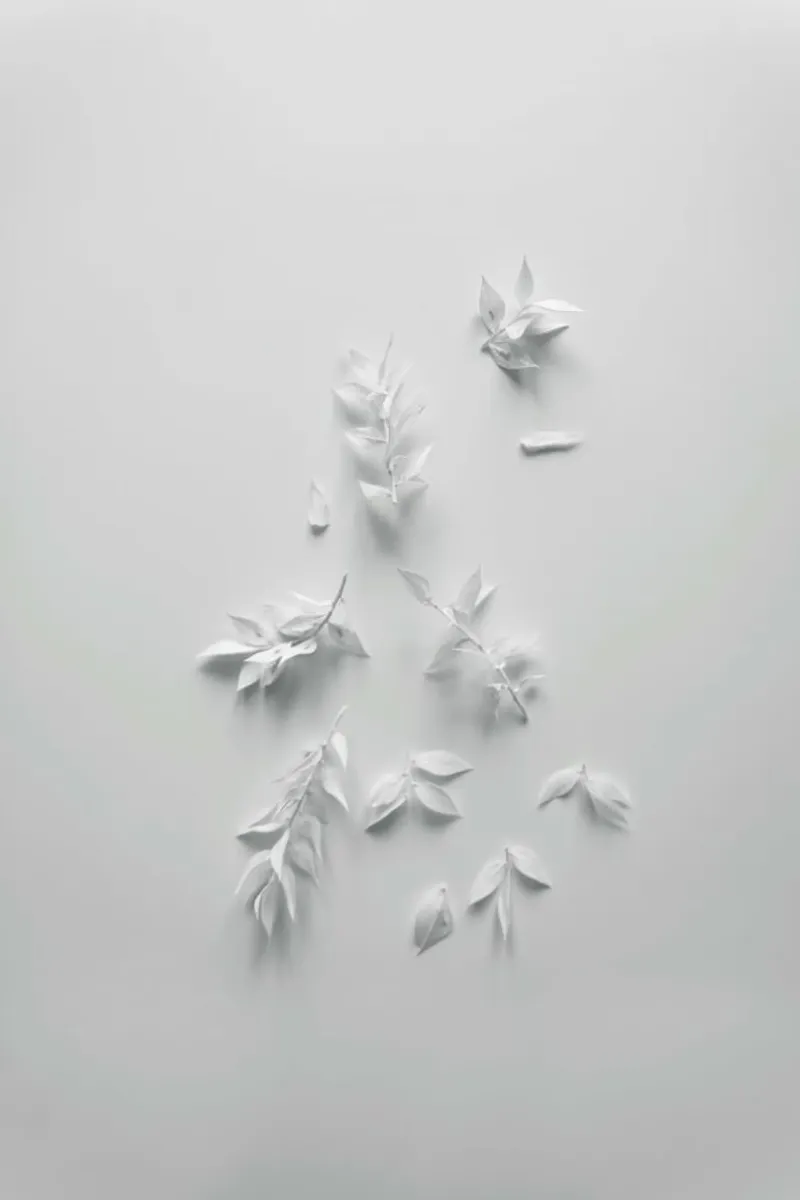 Minimalism White Bouquet pellicola backlit da Studio Nahili