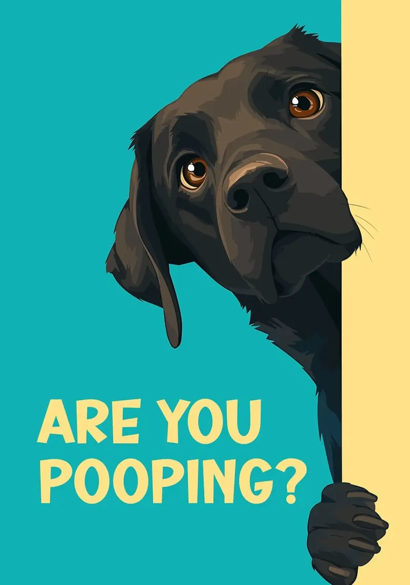 perro pregunta humor lúdico lámina retroiluminada de Kirsten C Nolan
