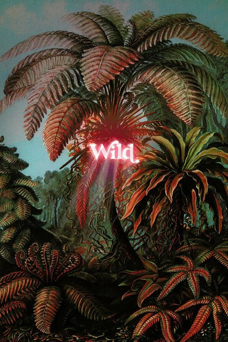 Wild poster de Jonas Loose