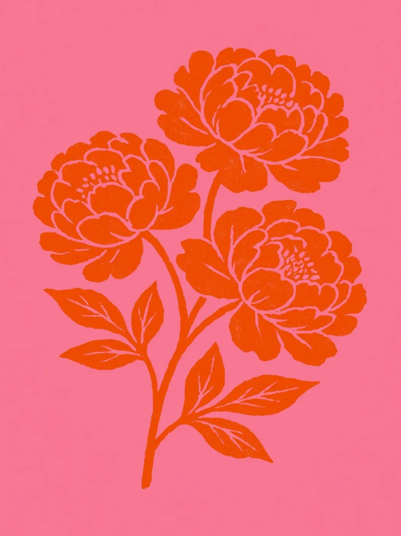 Peony Impression pellicola backlit da treechild