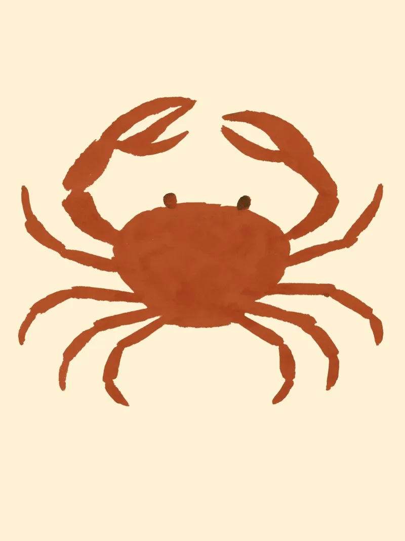 Crab Impression plexiglass da treechild