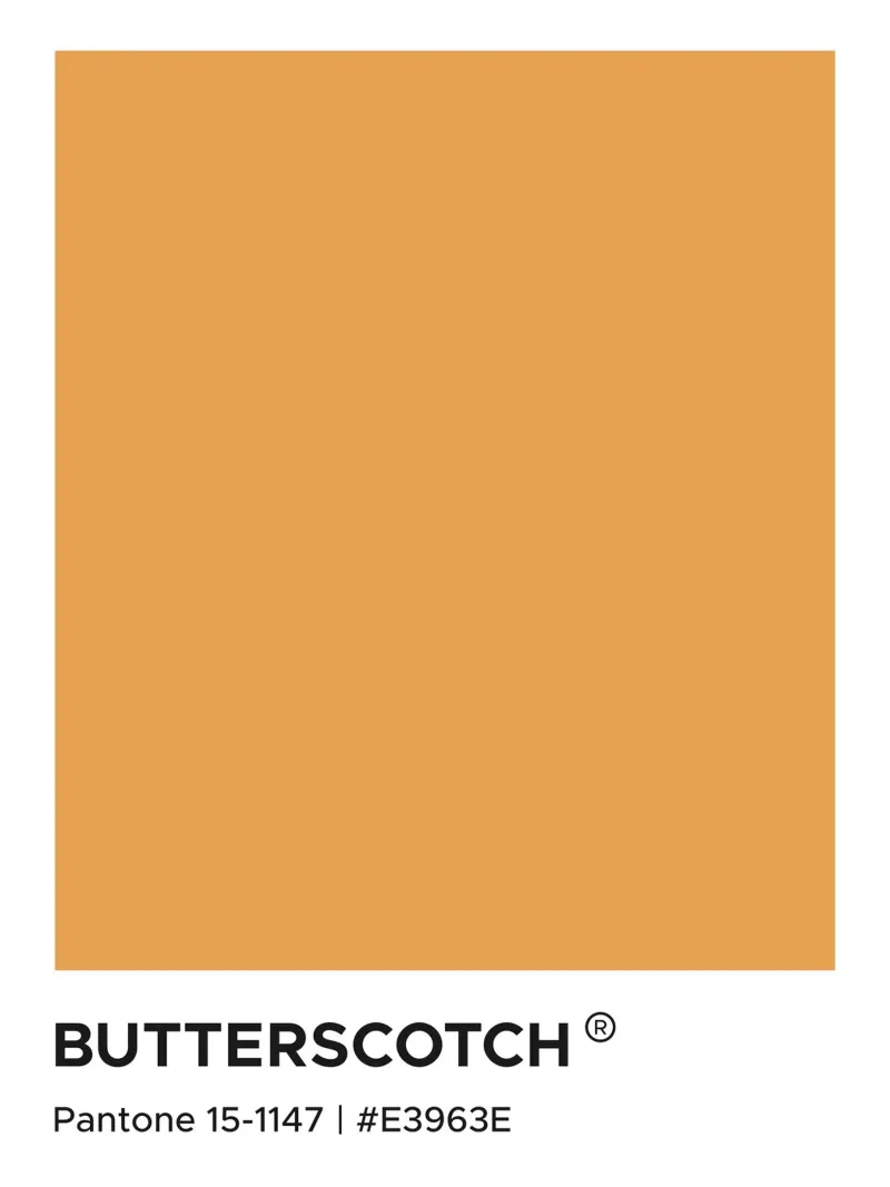 Pantone Butterscotch carta hahnemühle da Paigaam Studio