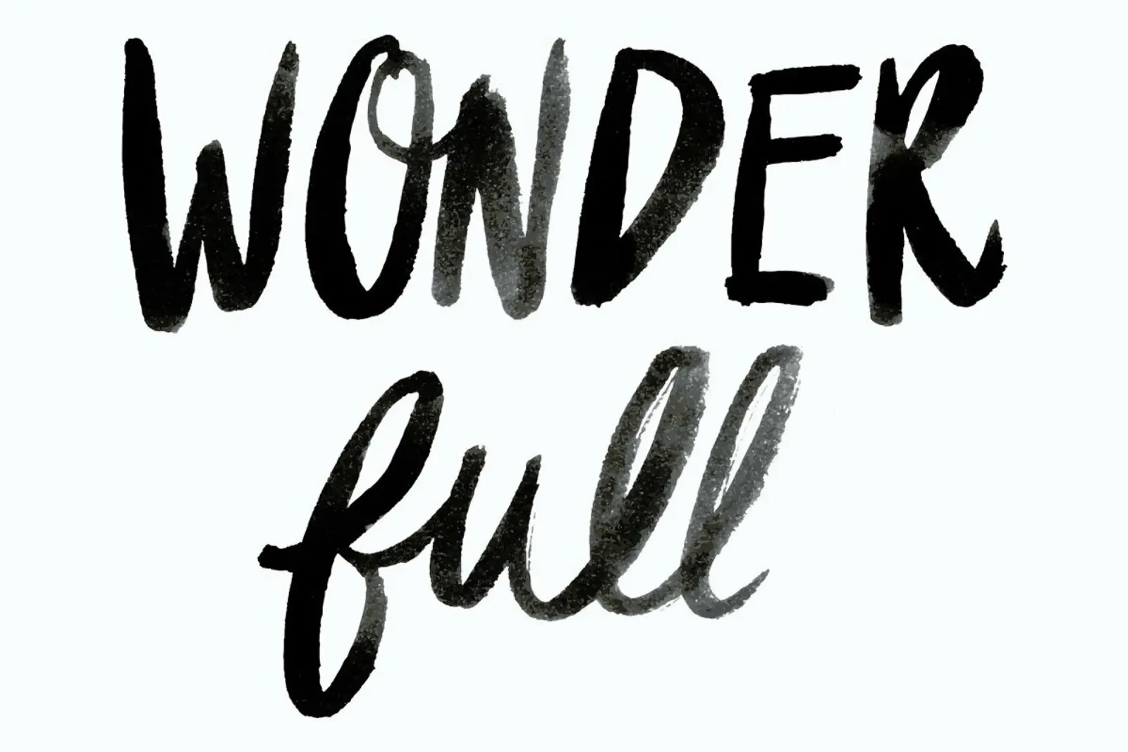 Wonder Full pellicola backlit da Dead Language