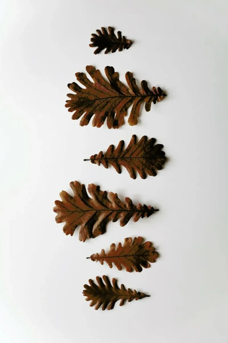 Shapes Oak Leafs pellicola backlit da Studio Nahili