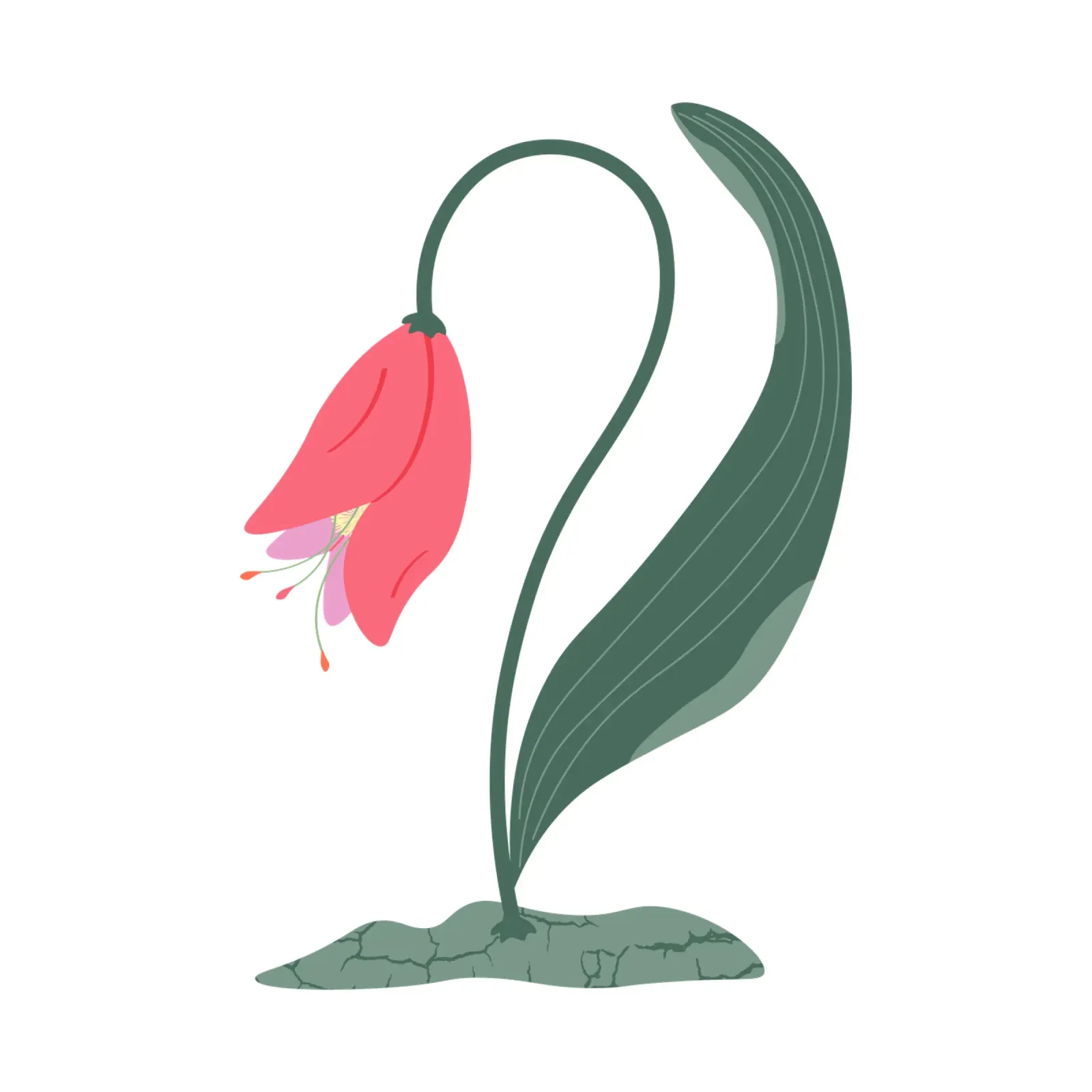 Poetic Tulip poster con telaio in alluminio da Silvie Illustration