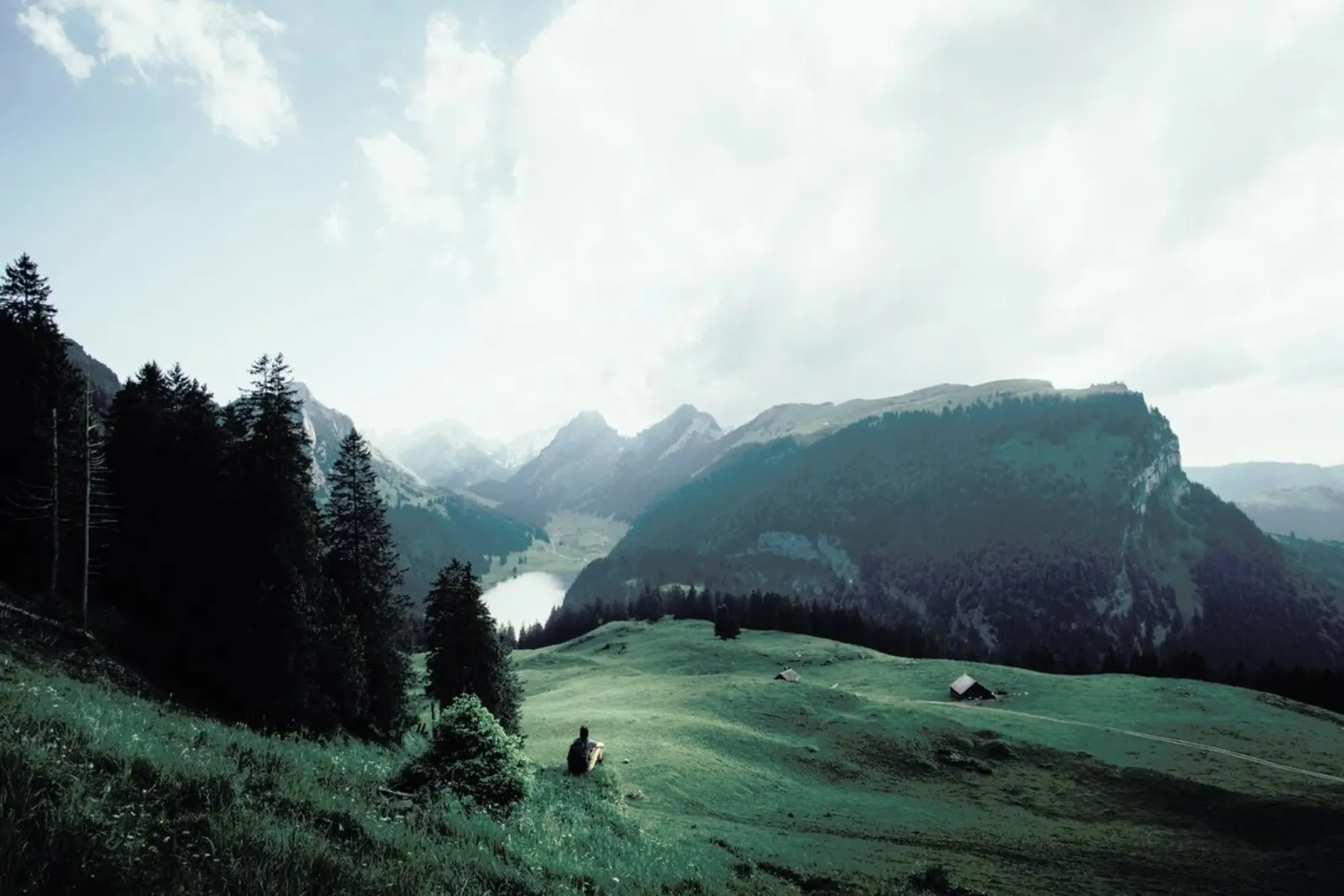 Taking It In by @runawayueli poster da EyeEm Mobile GmbH