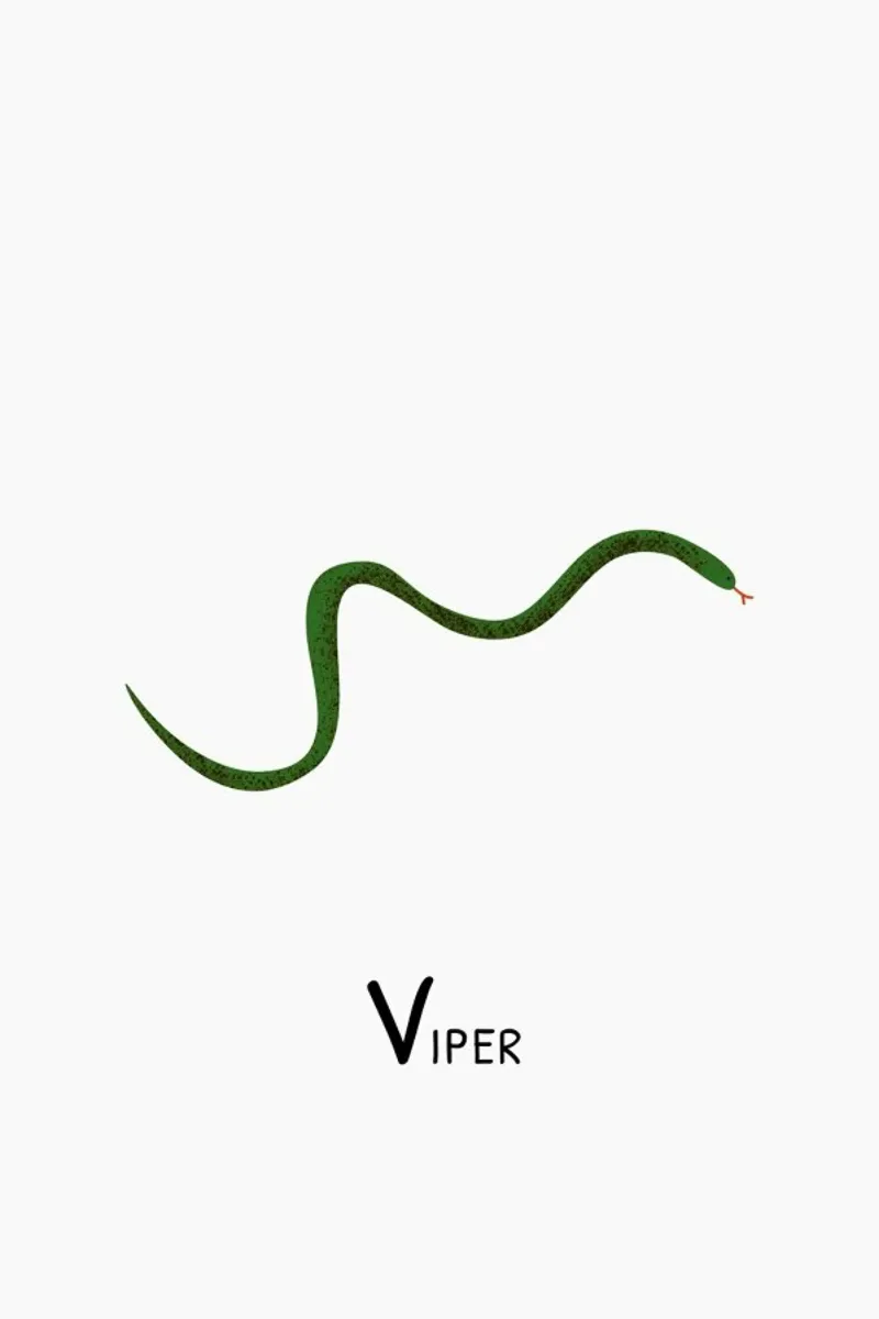 Viper pellicola backlit da Little Flourishes