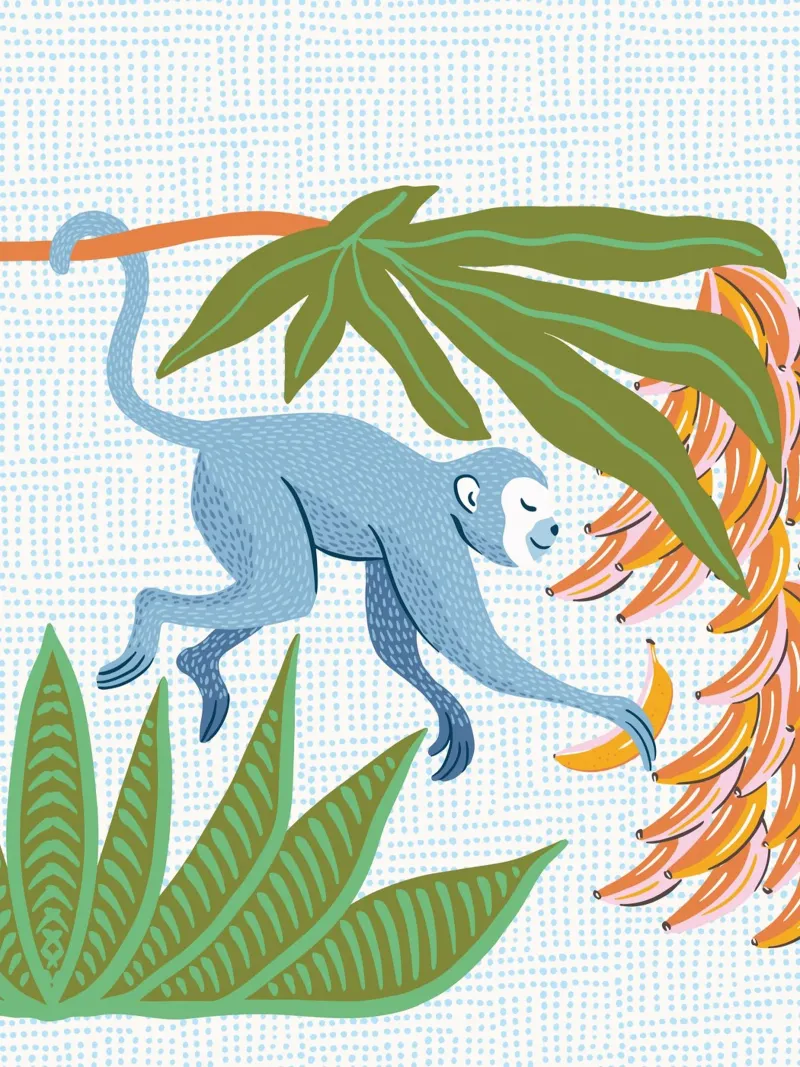 Modern safari monkey alluminio dibond da Vivdesign