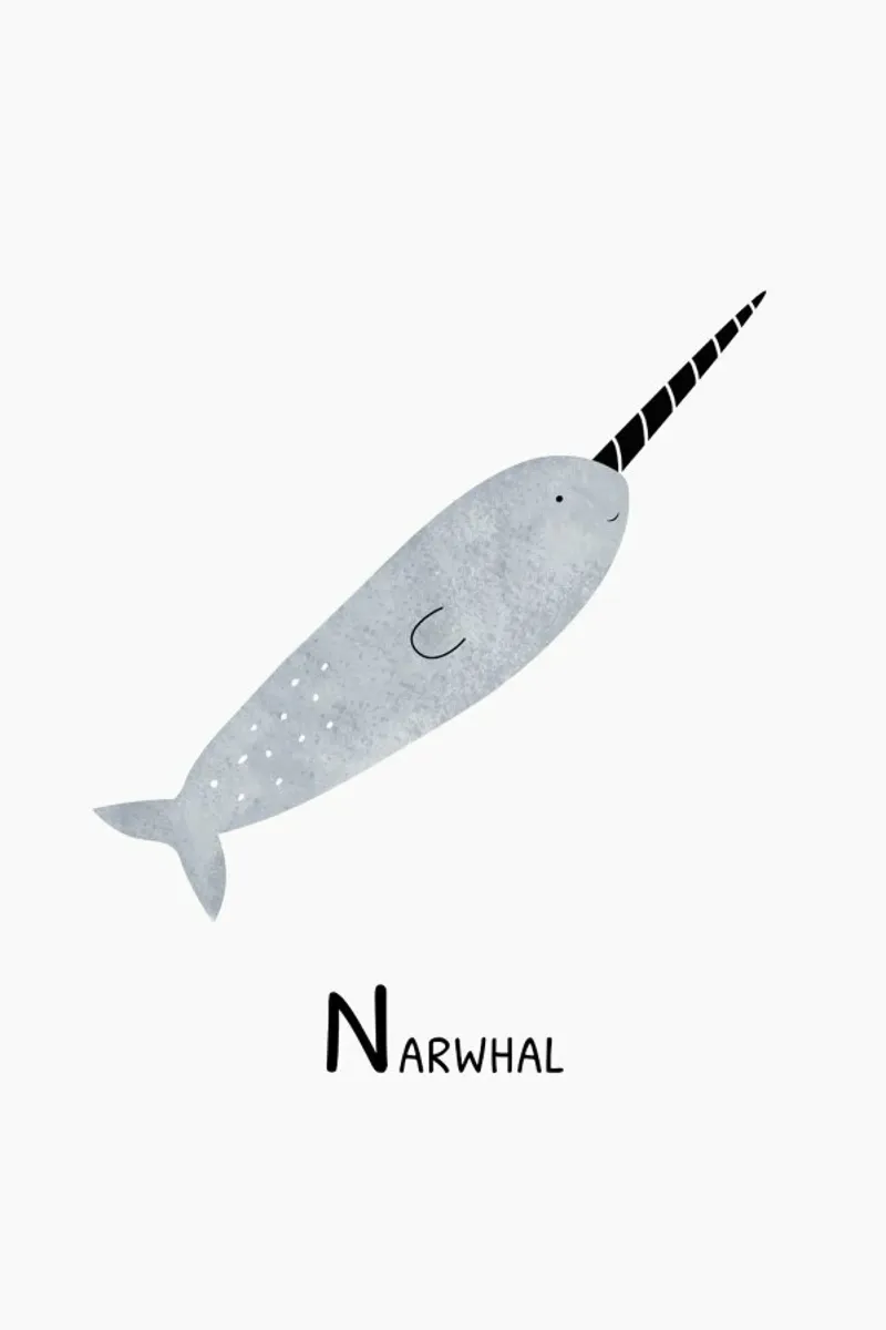Narwhal pellicola backlit da Little Flourishes