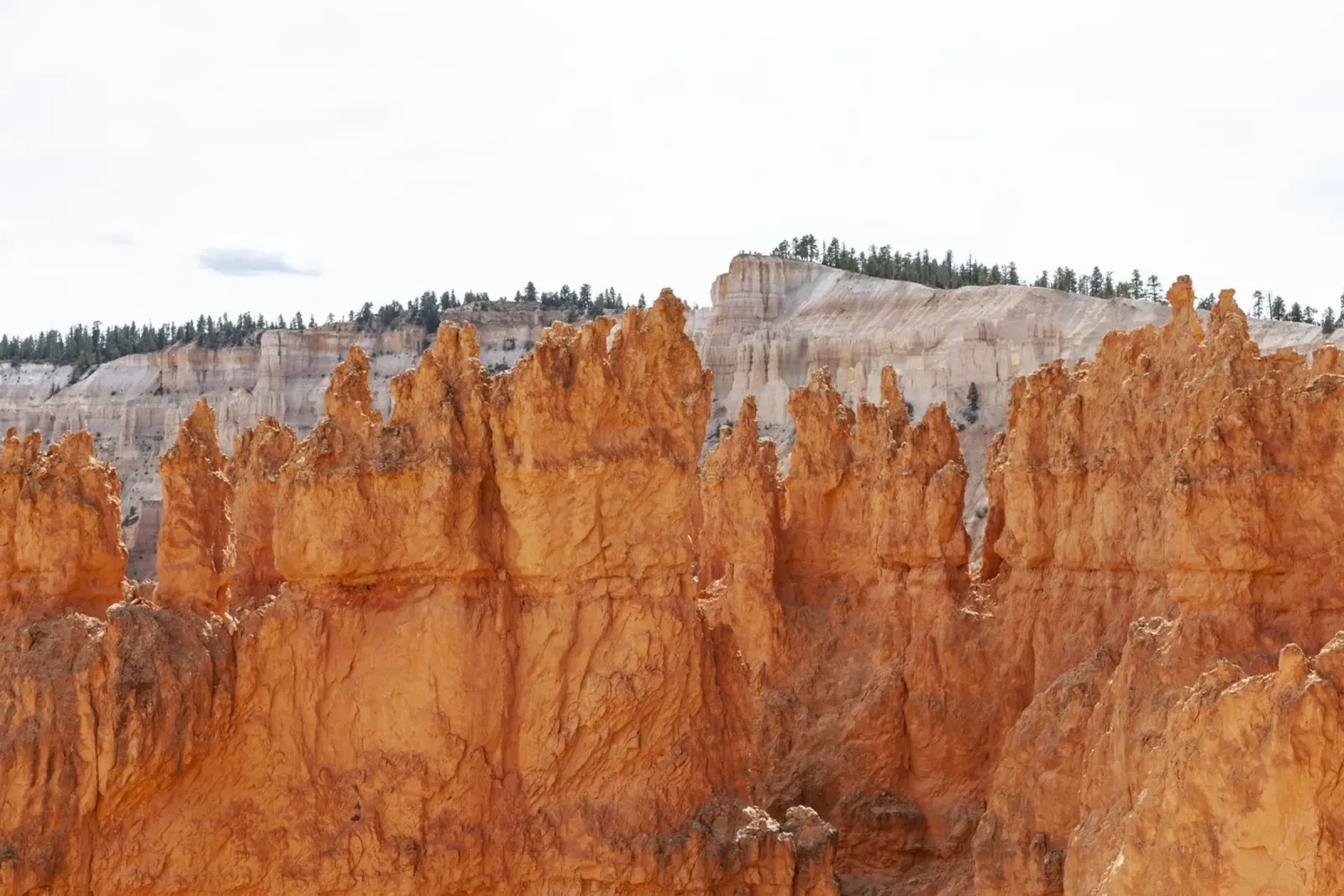 The three colours of Bryce Canyon canvas with Floater frame by Barbara Buderath Fotodesign