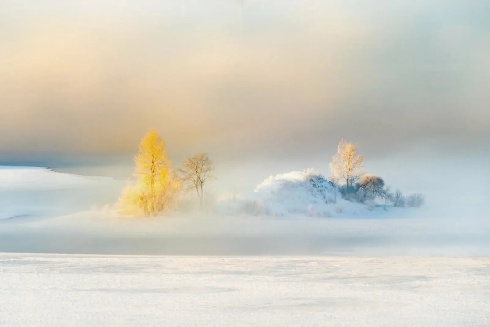 Winter in Irkutsk, Russia forex plate by EyeEm Mobile GmbH