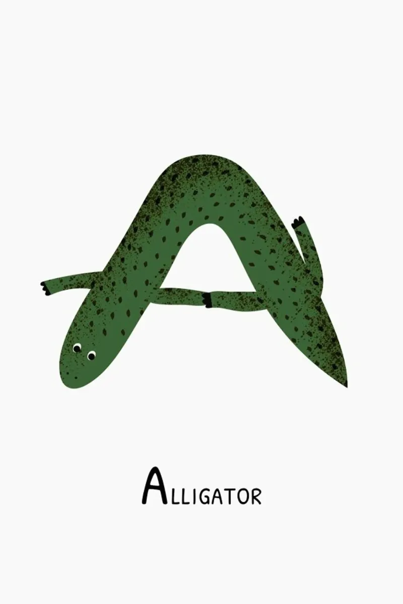 A for Alligator pellicola backlit da Little Flourishes