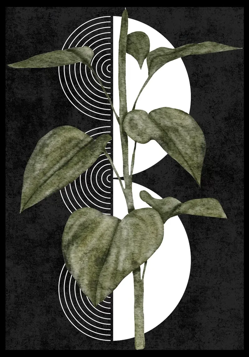 foglie pianta botanica geometrica pellicola backlit da James Isaac Jackson