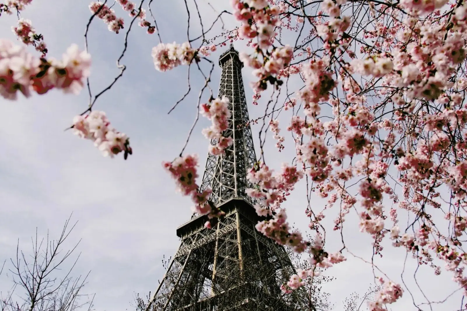 Paris In Spring @Kruti_Doctor pellicola backlit da EyeEm Mobile GmbH