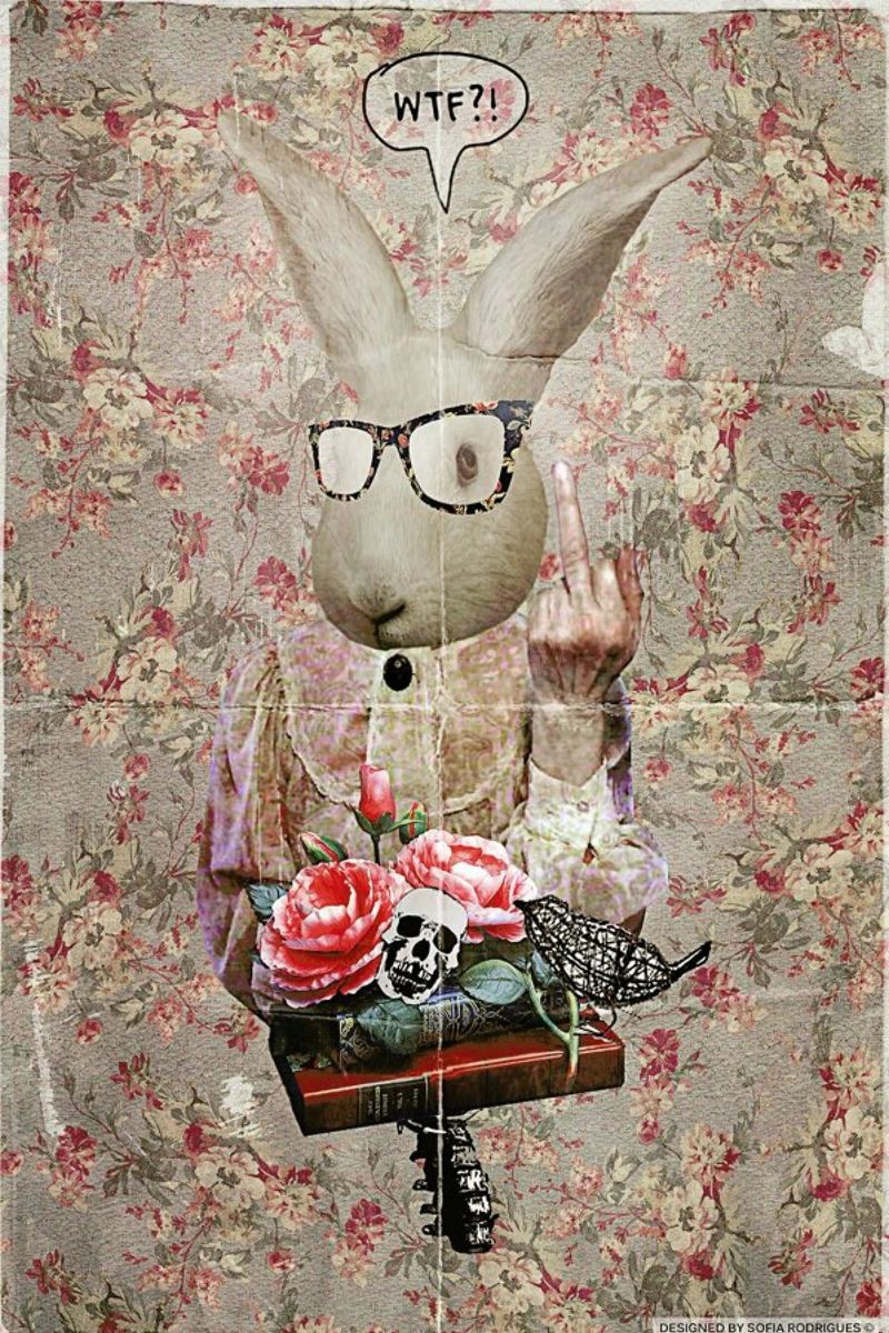 Lady Bunny WTF poster by Design by Soph