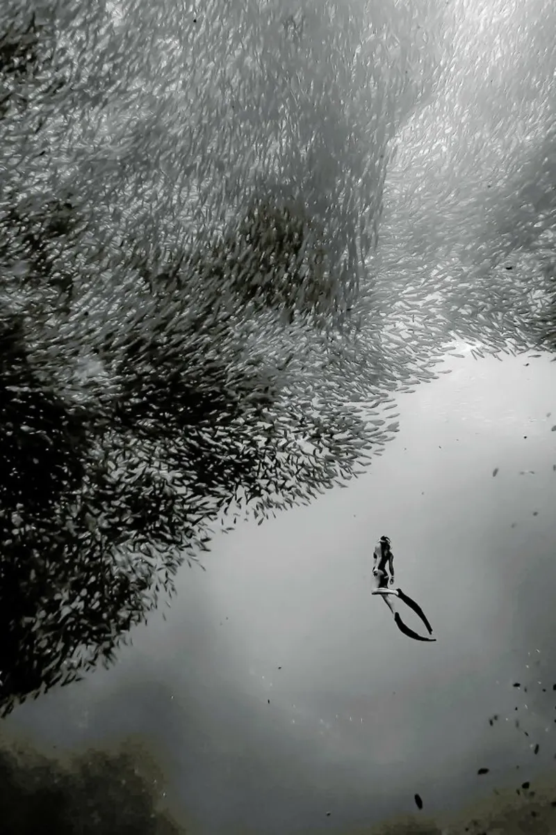 Diving Deep @Niccolo_Stevens alluminio dibond da EyeEm Mobile GmbH