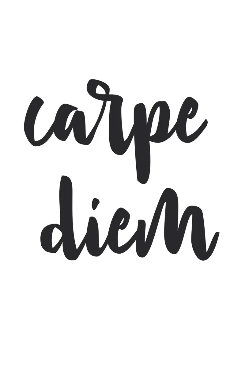 Carpe diem - parole d'ispirazione poster con telaio in alluminio da NouveauPrints