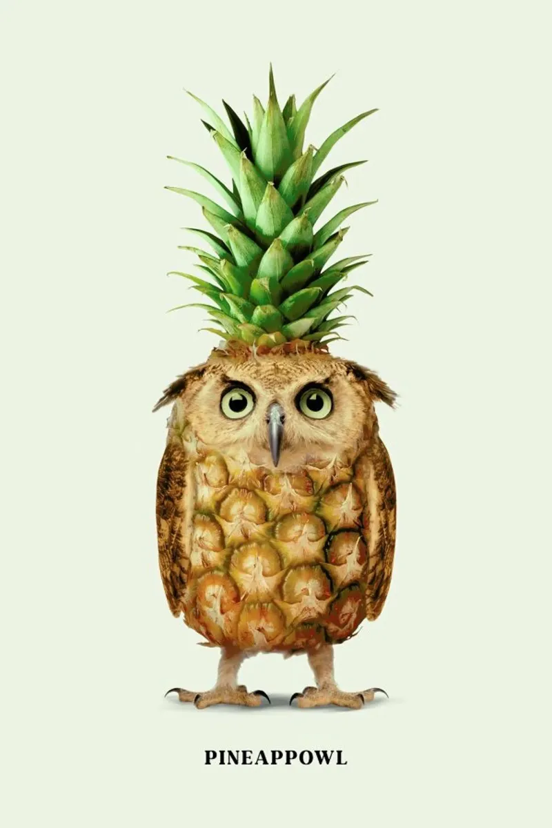 Pineappowl plexiglass da Jonas Loose
