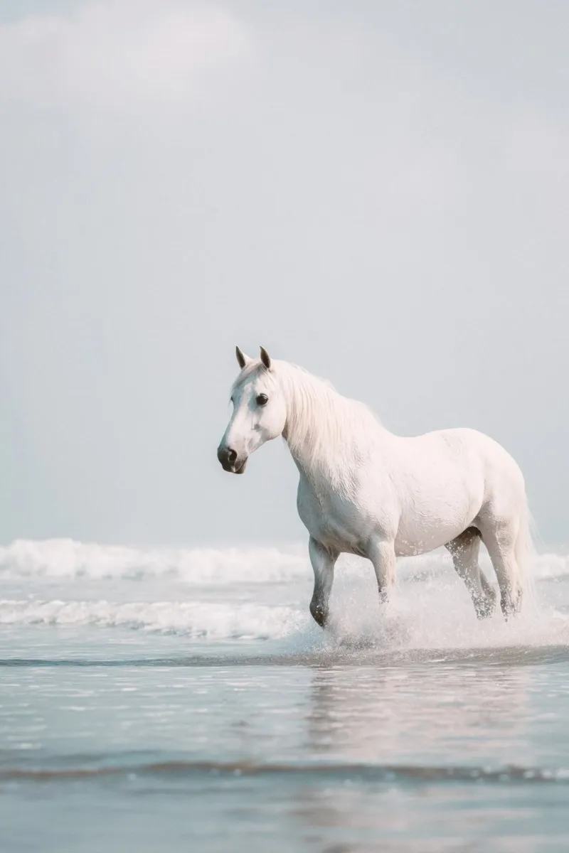 Caballo blanco galopando entre las olas del océano metacrilato de Indigo Tides Art