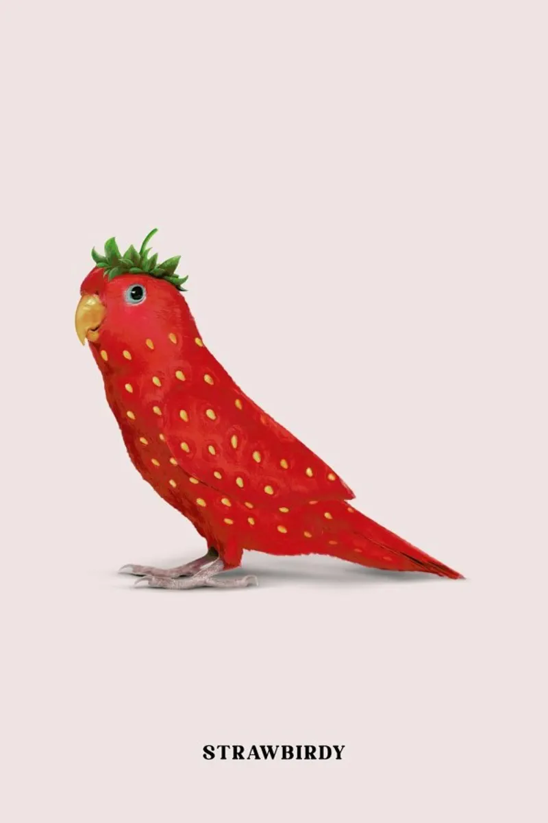 Strawbirdy tela con Cornice a cassetta da Jonas Loose