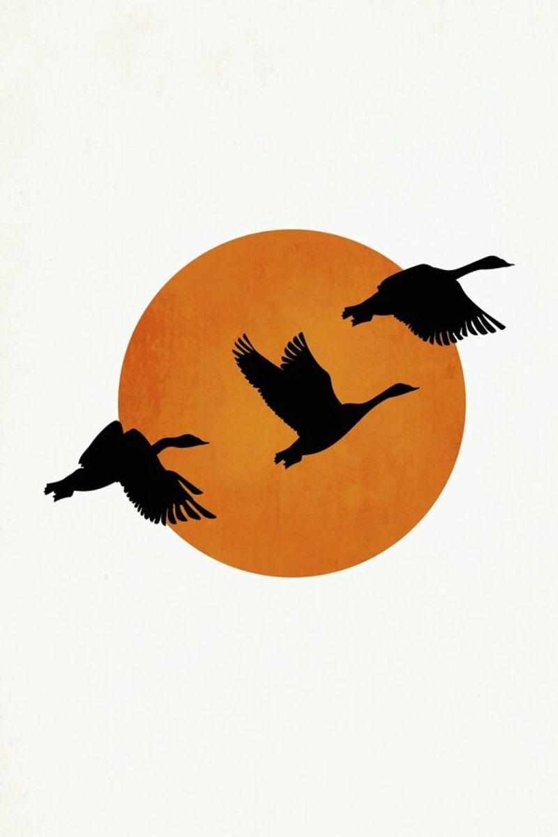 Coming Home Poster von Kubistika