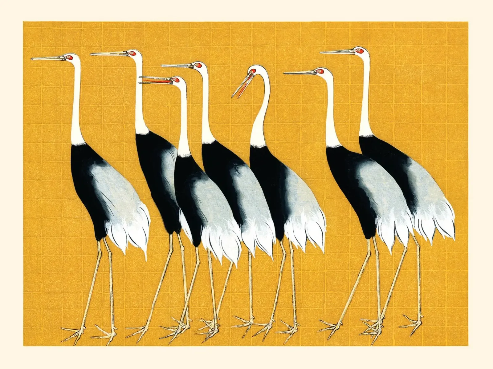Flock of Japanese Red Crown Cranes Ogata Korin metacrilato de apoloprints
