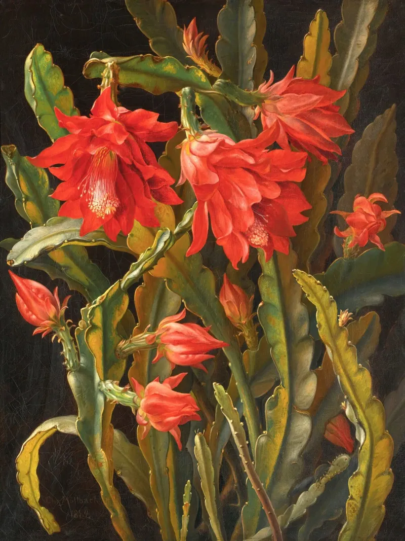 Cactus Flower canvas by apoloprints