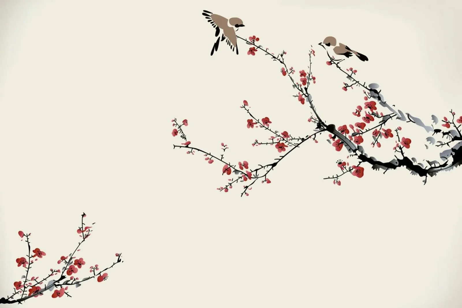 Jays & Sakura pellicola backlit da Flora & Fauna