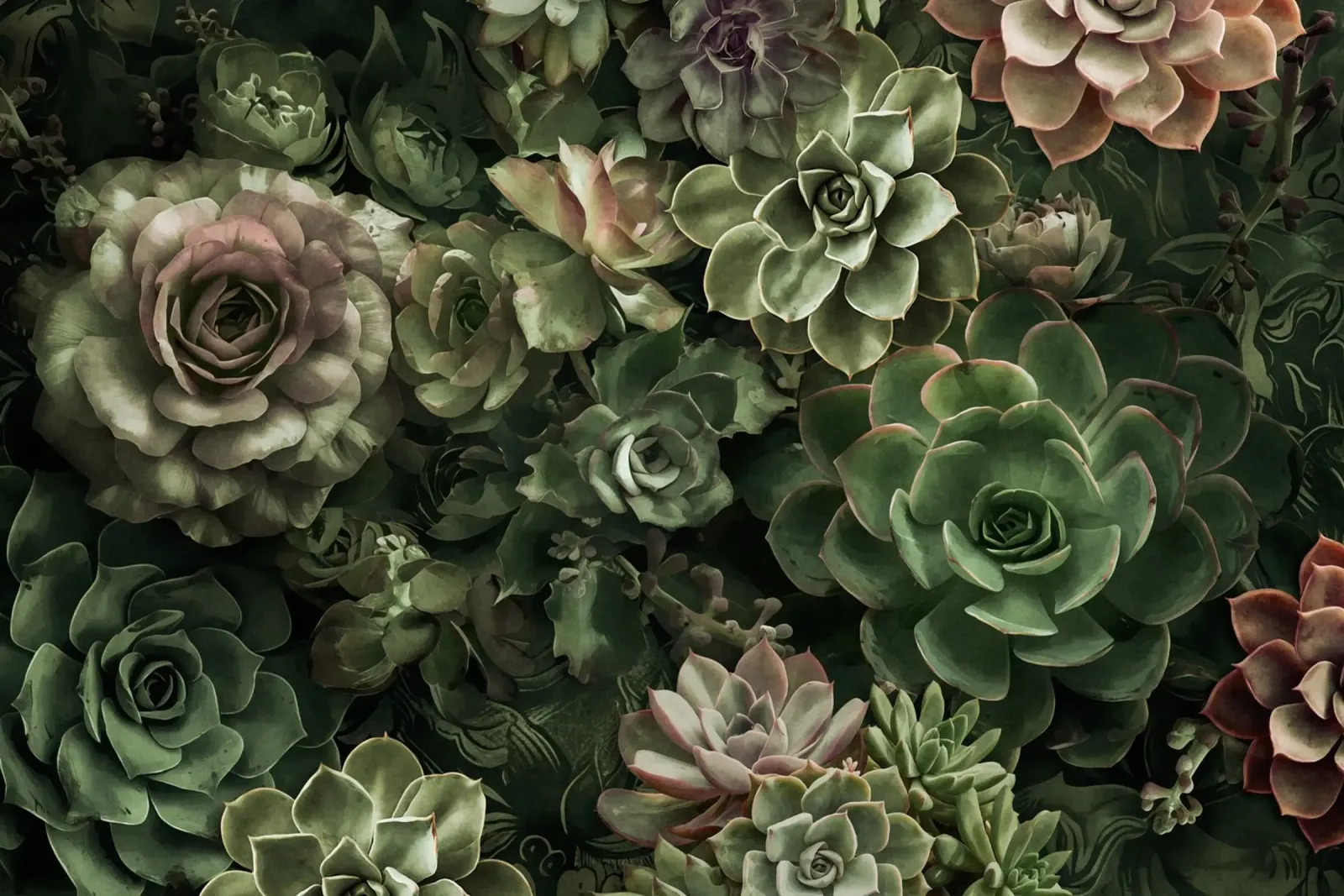 Giardino del deserto verde Fiori succulenti lunatici poster con telaio in alluminio da Andrea Haase Floral Passion