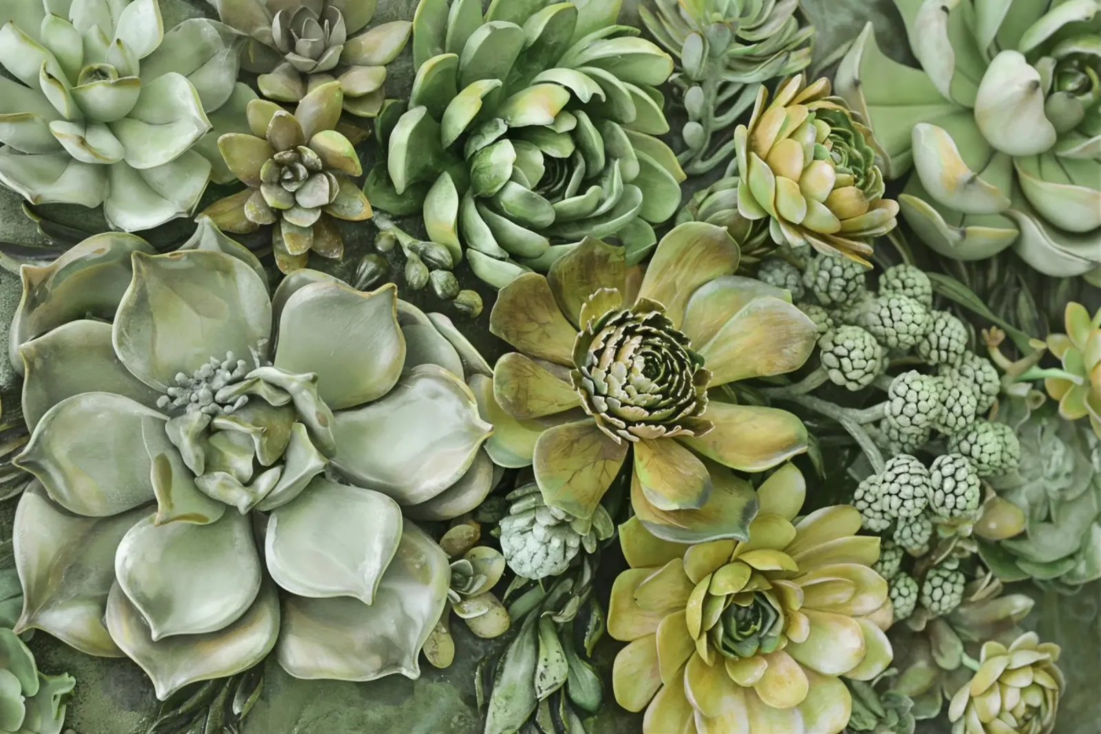 Giardino verticale di succulente botaniche verdi pellicola backlit da Andrea Haase Floral Passion