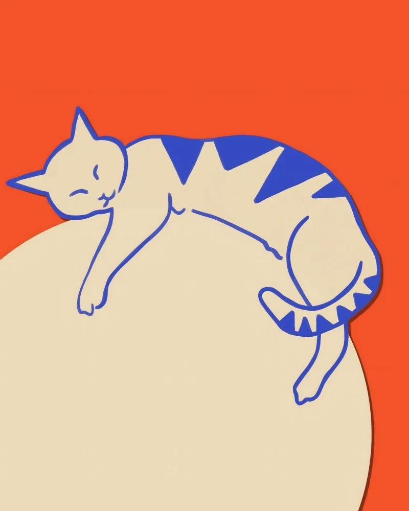 Catalizzatore | Sonnellino del gatto alluminio dibond da 83oranges
