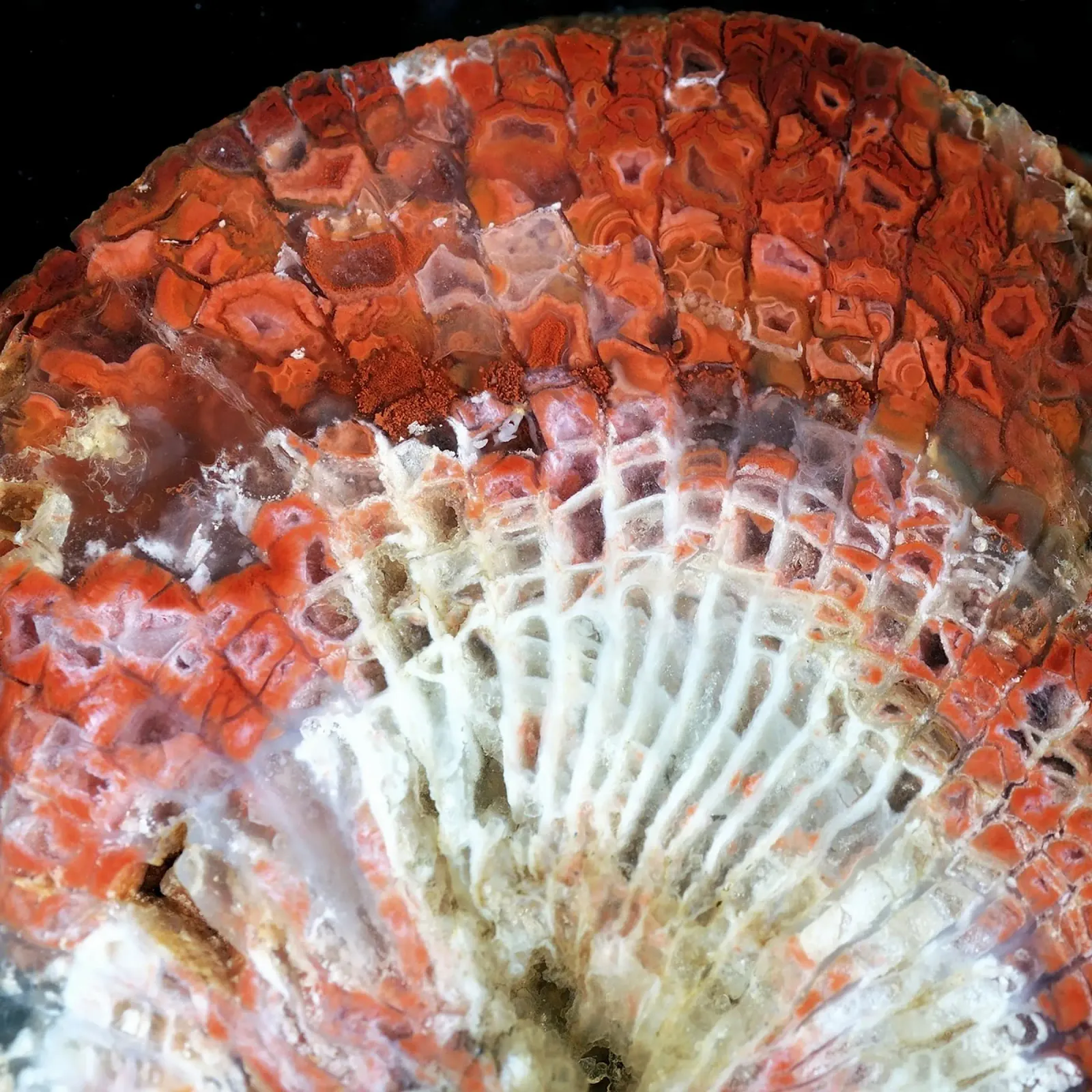 Texture geode di agata 03 pellicola backlit da Gemstone Textures