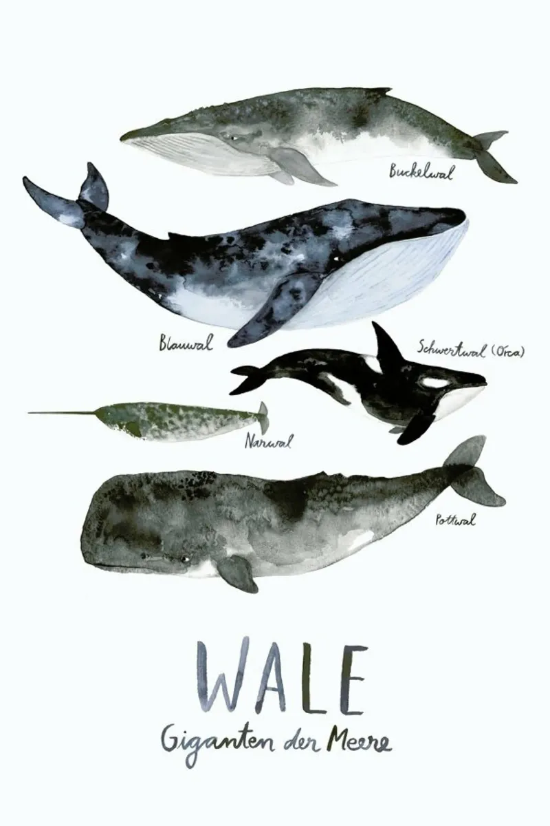 Wale poster con telaio in legno da typealive
