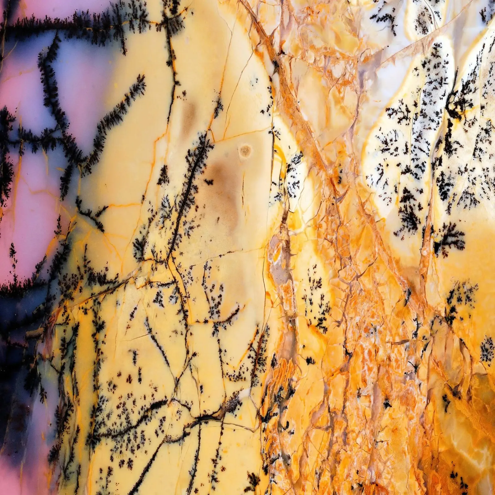 Texture fetta d'agata 11 pellicola backlit da Gemstone Textures