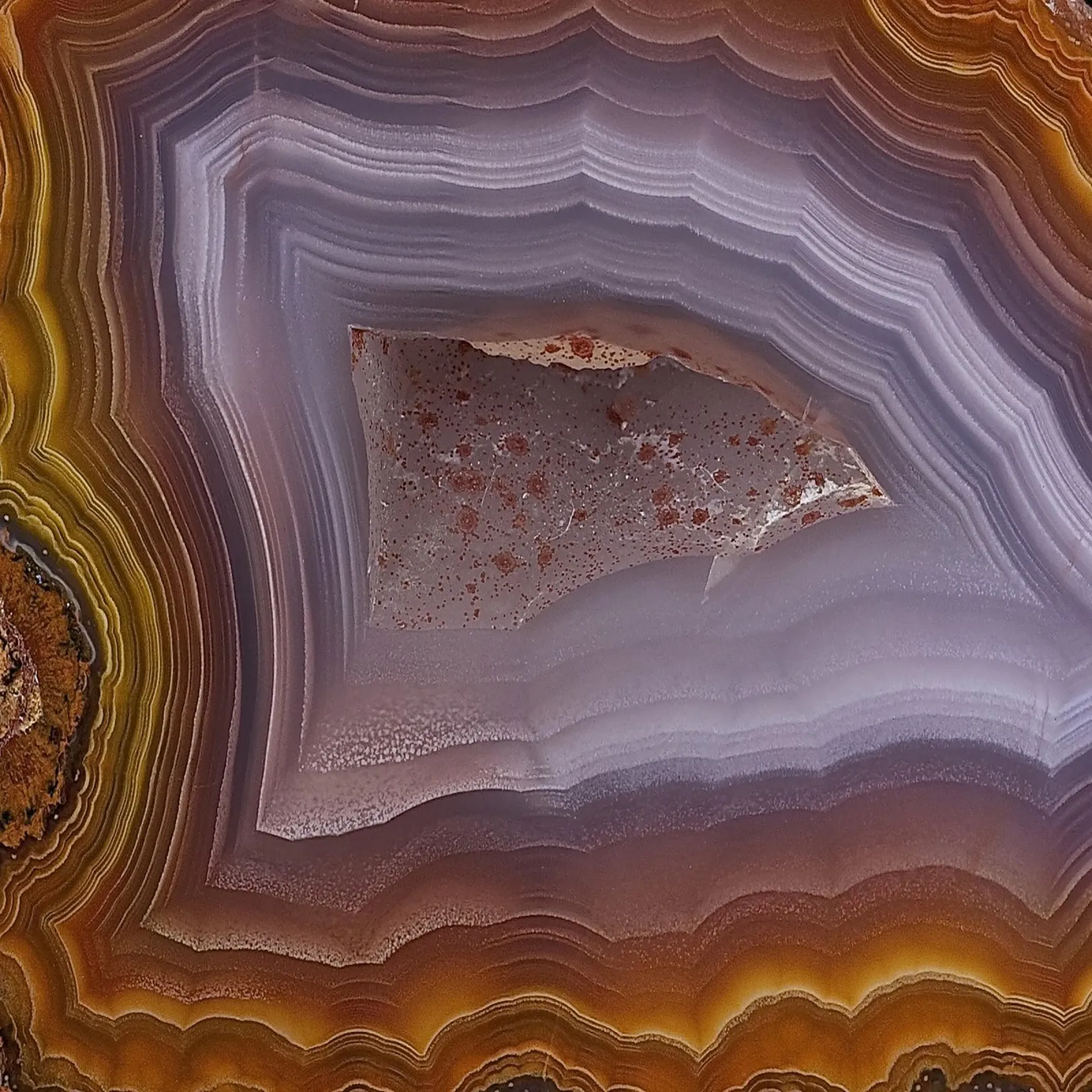 Texture fetta d'agata 13 pellicola backlit da Gemstone Textures