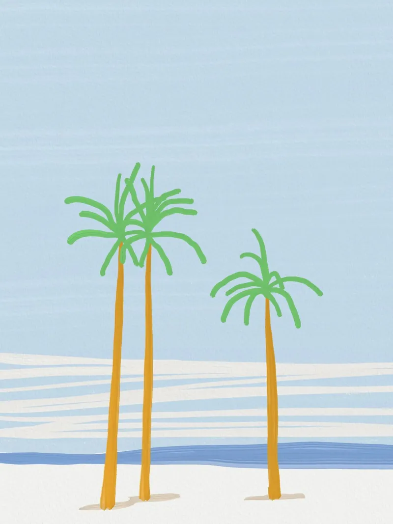 Estate a Palm Beach pellicola backlit da Little Dean