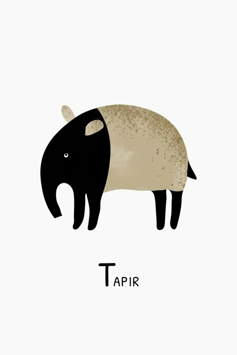 Tapir pellicola backlit da Little Flourishes