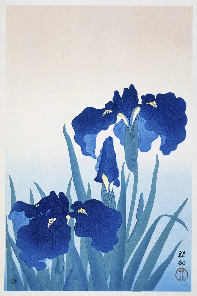 Fiori di iris 1925 di Ohara Koson pellicola backlit da Pretty Flowers Vintage Botanicals