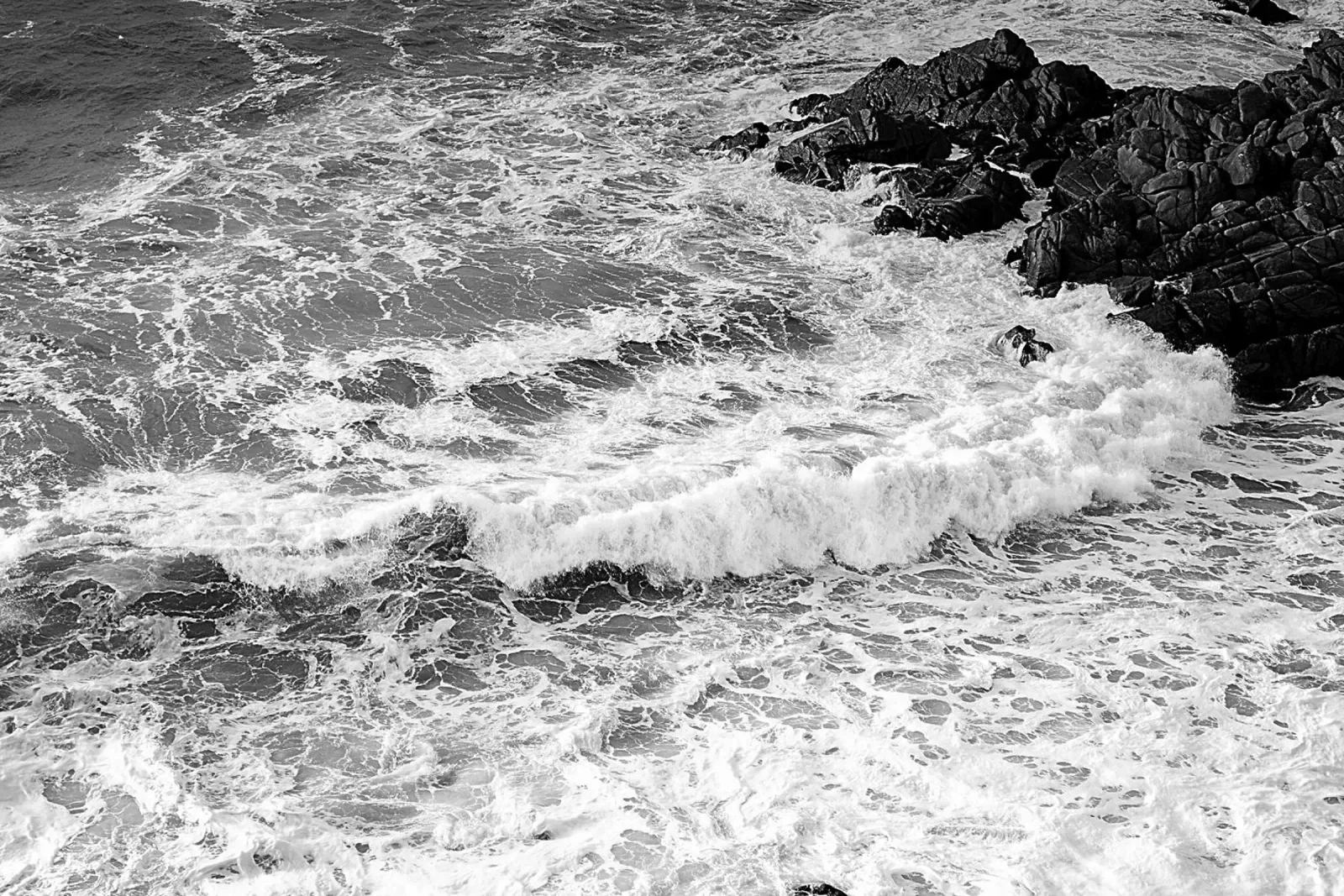 BW66 pellicola backlit da Thierry vobmann photography