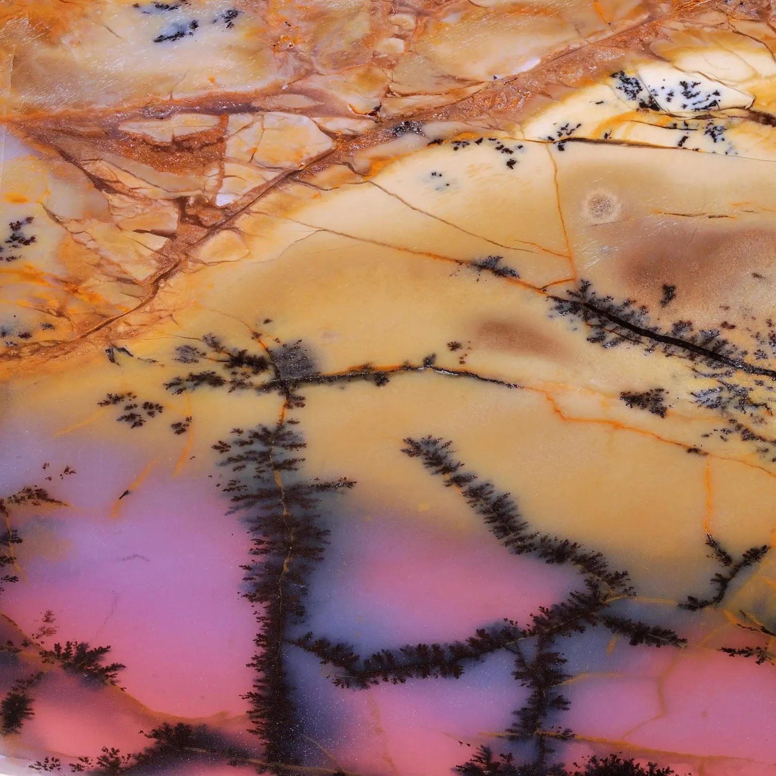 Texture fetta d'agata 18 pellicola backlit da Gemstone Textures