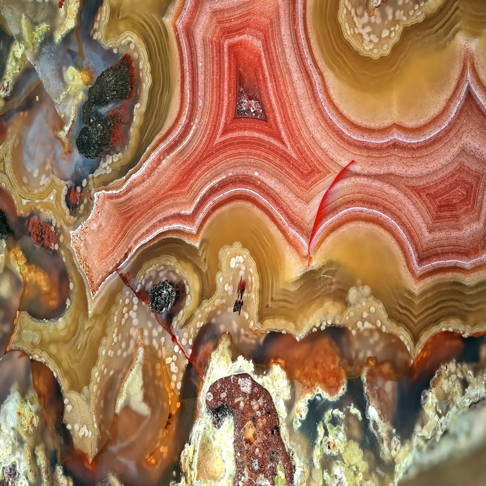 Texture fetta d'agata 19 pellicola backlit da Gemstone Textures