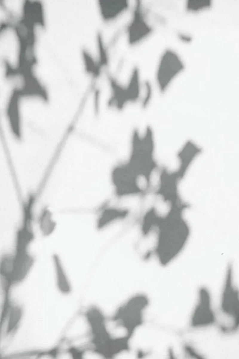 Shadow pellicola backlit da Flora & Fauna