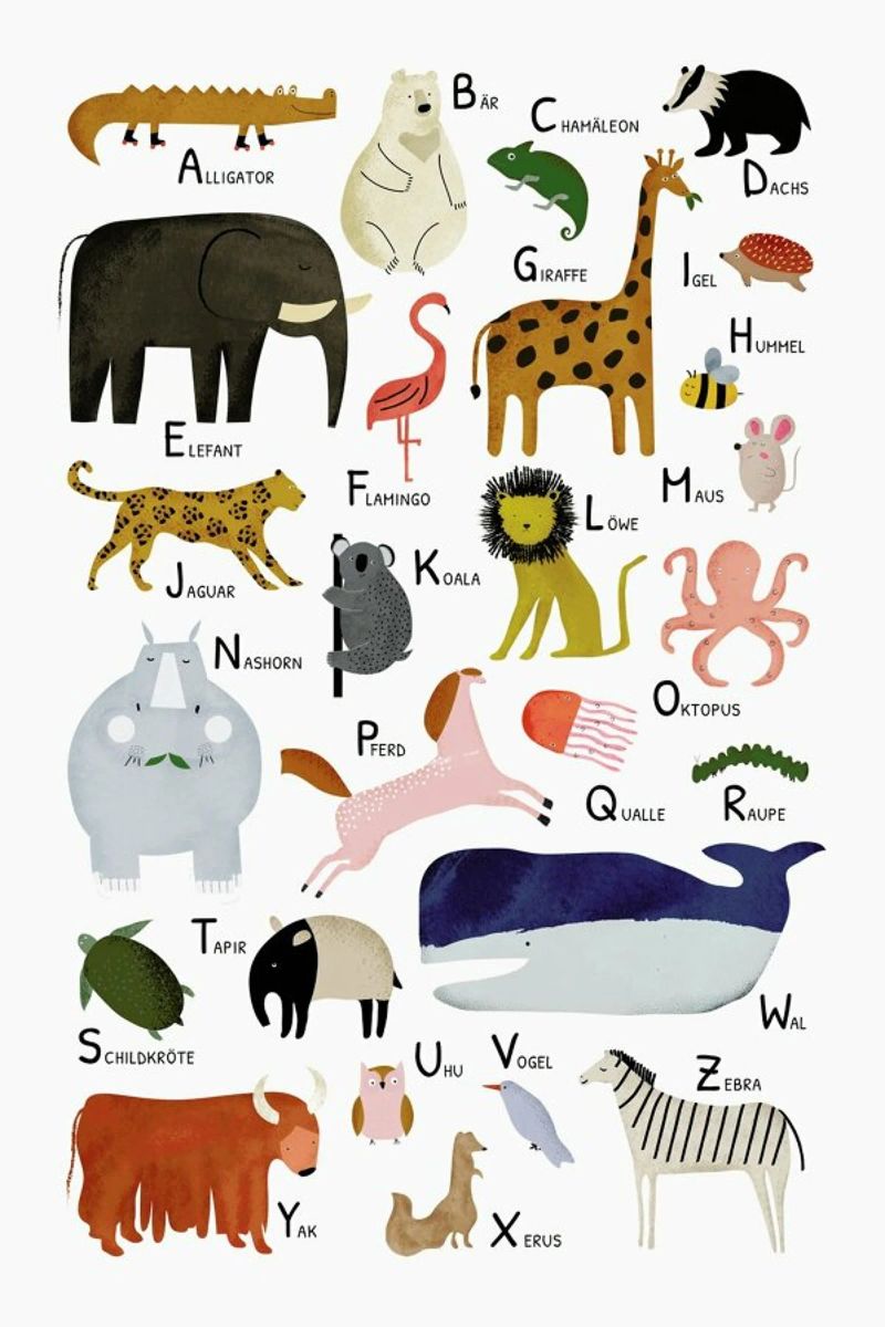 Tiere von A bis Z alluminio dibond da Little Flourishes