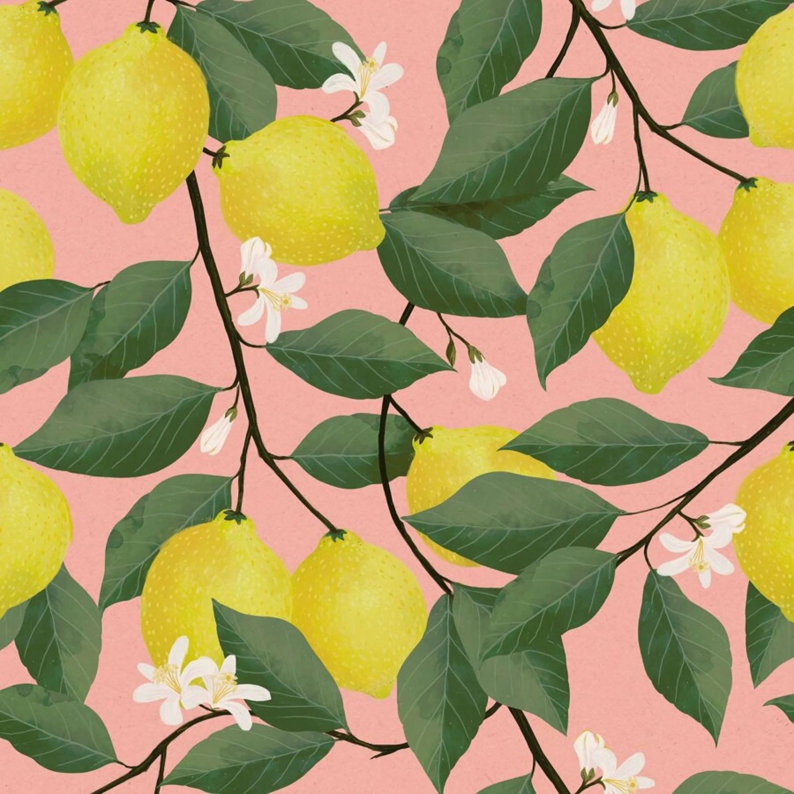 Lemon Tree pellicola backlit da Laura Graves